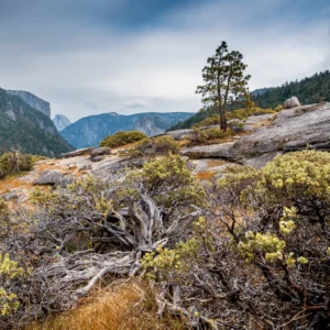 Yosemite national park