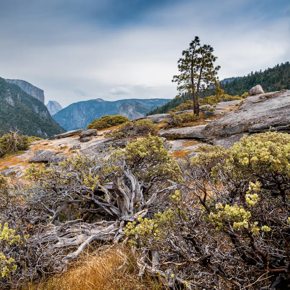 Yosemite national park